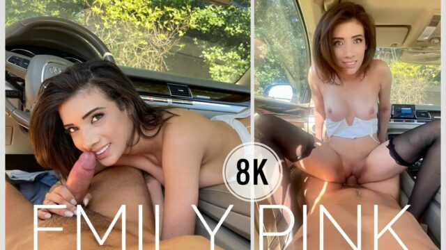 Enjoy Sex In The Car With Hot Emily